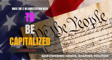 The Nuance of Capitalizing the 'C' in Constitution