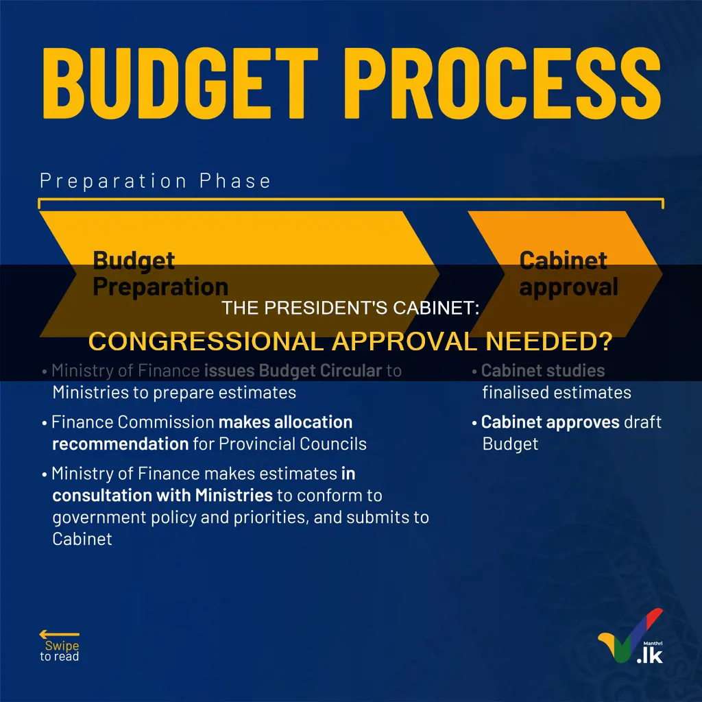 does the cabinet have to be approved by congress