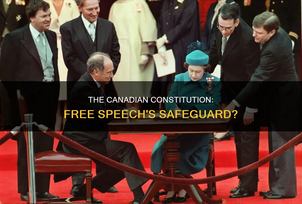 does the canadian constitution protect speech