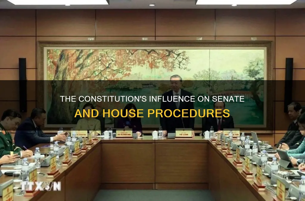 does the constitution address senate or house procedures