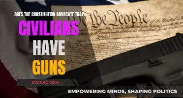 Civilians Bearing Arms: What Does the Constitution Really Say?