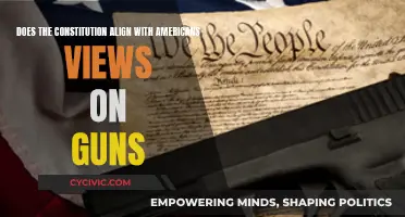Gun Rights: Constitution vs. Modern America