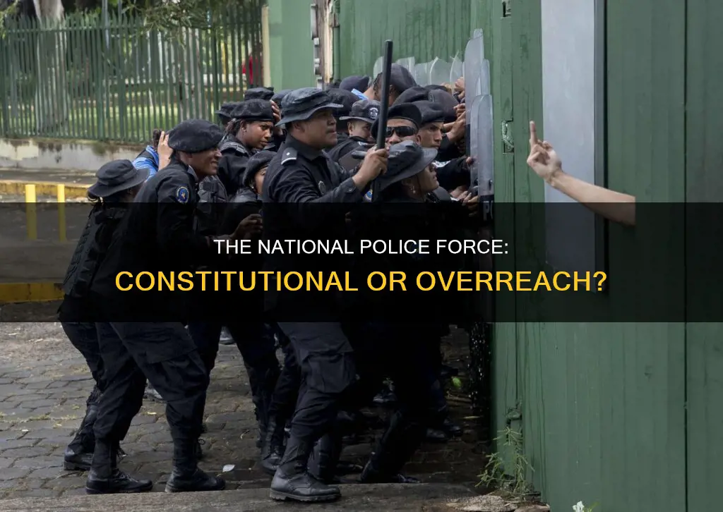 does the constitution allow for a national police force