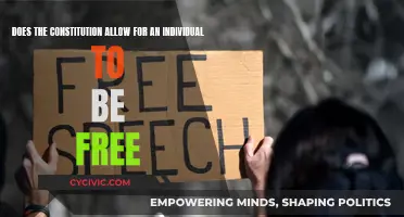 The Constitution and Individual Freedom: A Complex Relationship