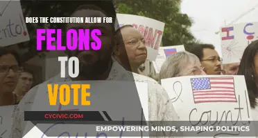 Felons' Right to Vote: What Does the Constitution Say?