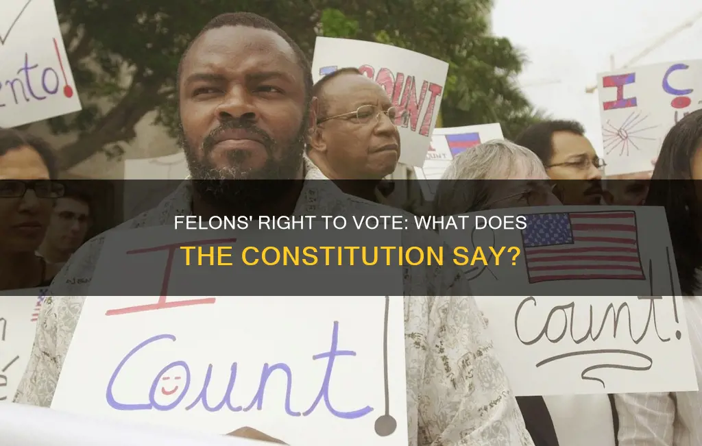 does the constitution allow for felons to vote