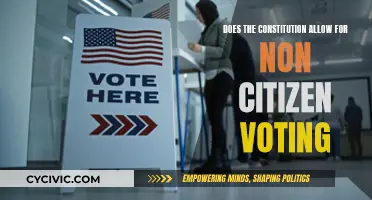 Non-Citizen Voting: Is It Constitutional?