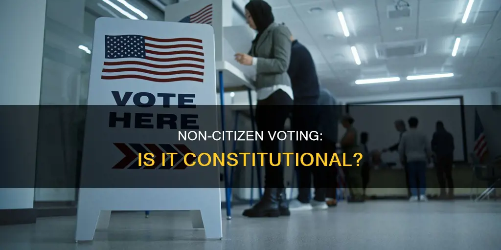does the constitution allow for non citizen voting