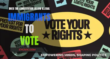 Can Immigrants Vote? Exploring Constitutional Rights and Restrictions