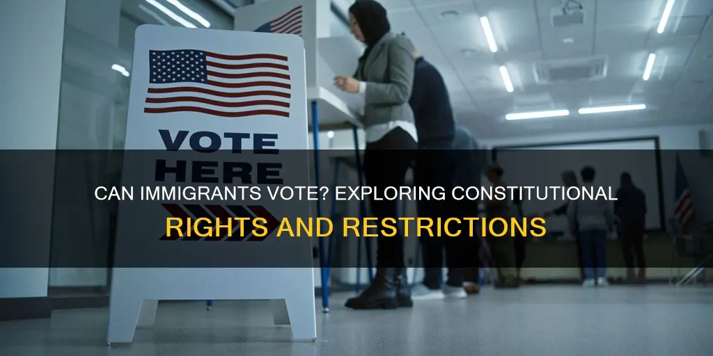 does the constitution allow illegal immigrants to vote
