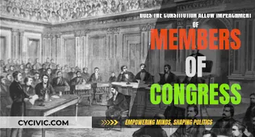 Impeachment Power: Can Congress Impeach Its Own Members?