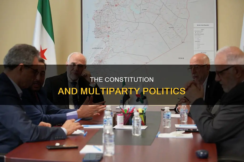 does the constitution allow more than two parties
