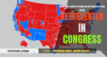 Who Can Be Represented in Congress?