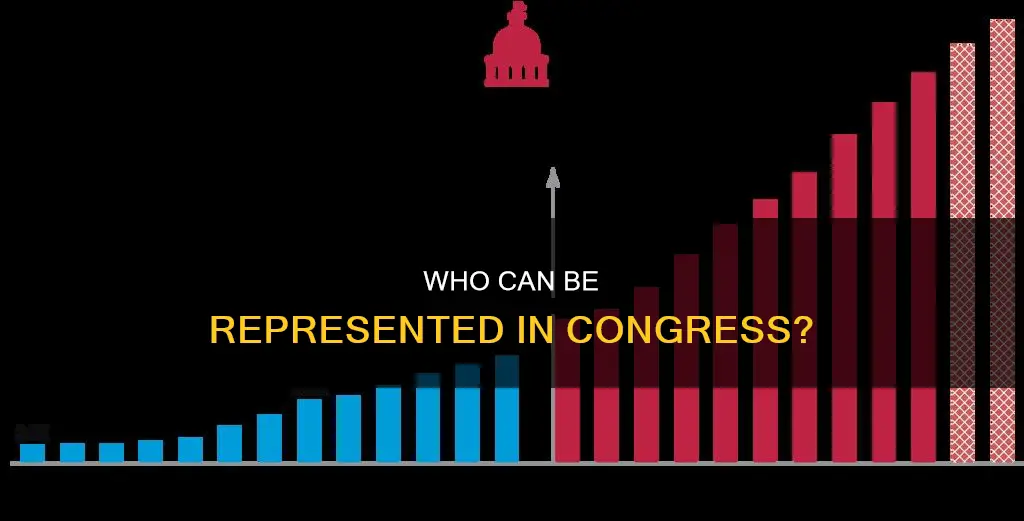 does the constitution allow non-citizens to be represented in congress