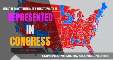 Who Can Be Represented in Congress?