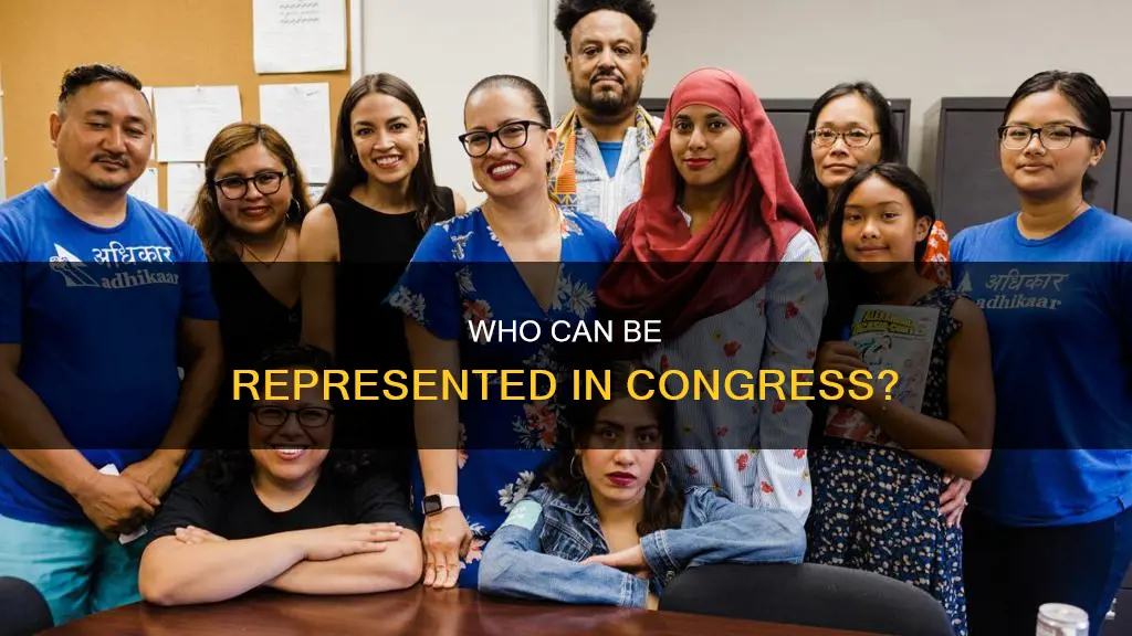 does the constitution allow noncitizens to be represented in congress