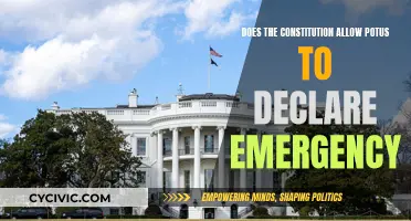 Can POTUS Declare Emergency? What the Constitution Says