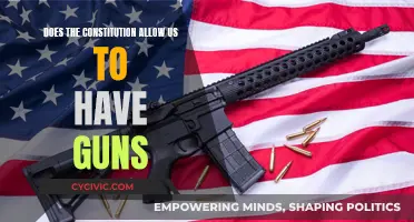 The Right to Bear Arms: What Does the Constitution Say?