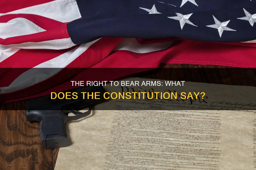 does the constitution allow us to have guns