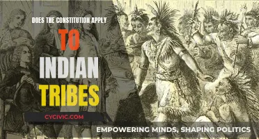 Tribal Sovereignty and the US Constitution: Who's in Charge?