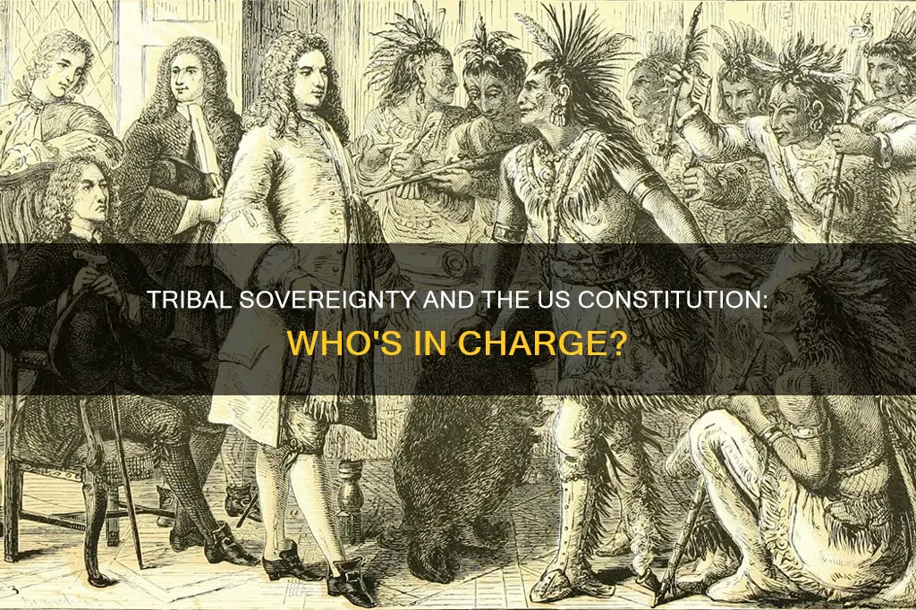 does the constitution apply to indian tribes