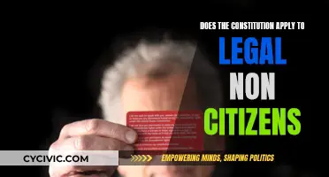 Who is Protected by the US Constitution?