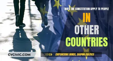 Exploring the Constitution's Global Reach and Applicability