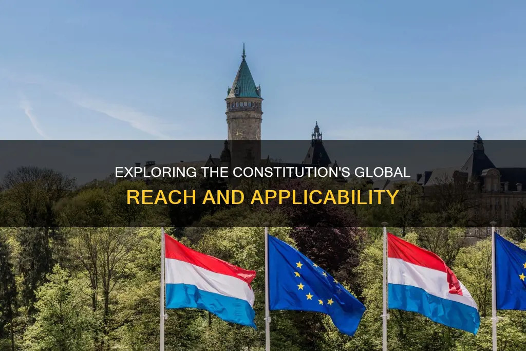 does the constitution apply to people in other countries