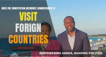 Congressmen's Foreign Trips: Are They Constitutional?