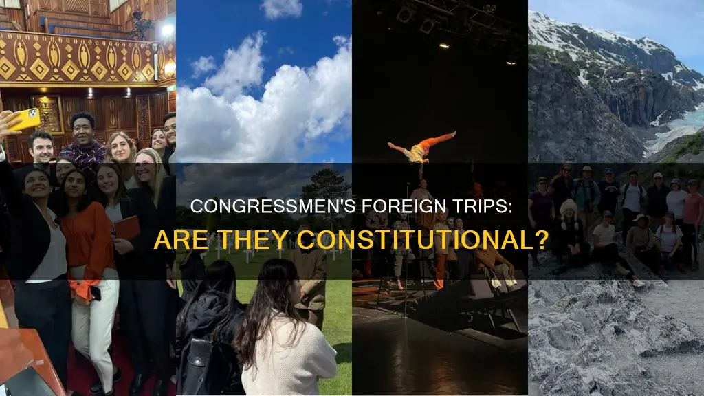 does the constitution authorize congressmen to visit forign countries