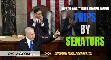 Senators' Trips Abroad: Are They Constitutional?