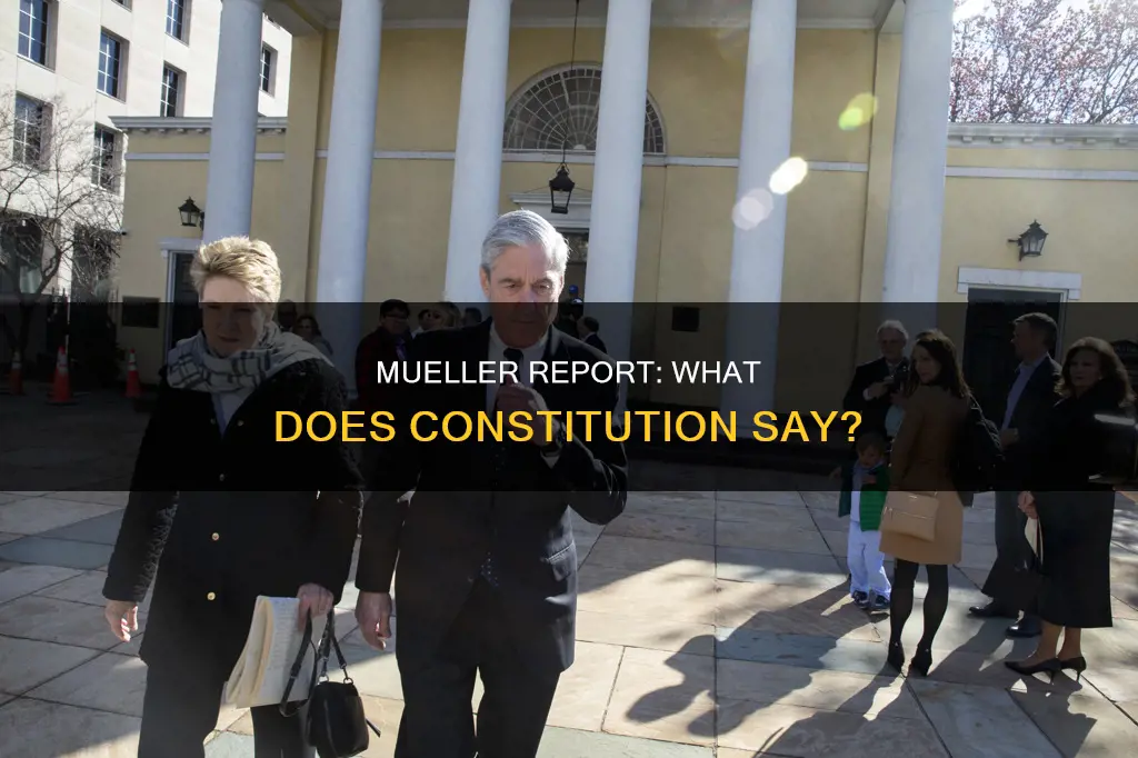 does the constitution back release of mueller report