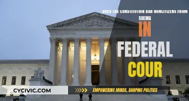 Can Noncitizens Sue in Federal Court?