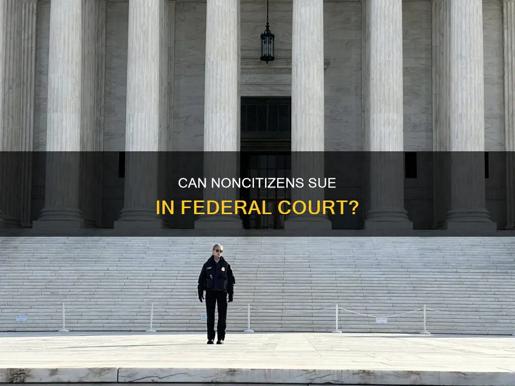 does the constitution bar noncitizens from sueing in federal cour