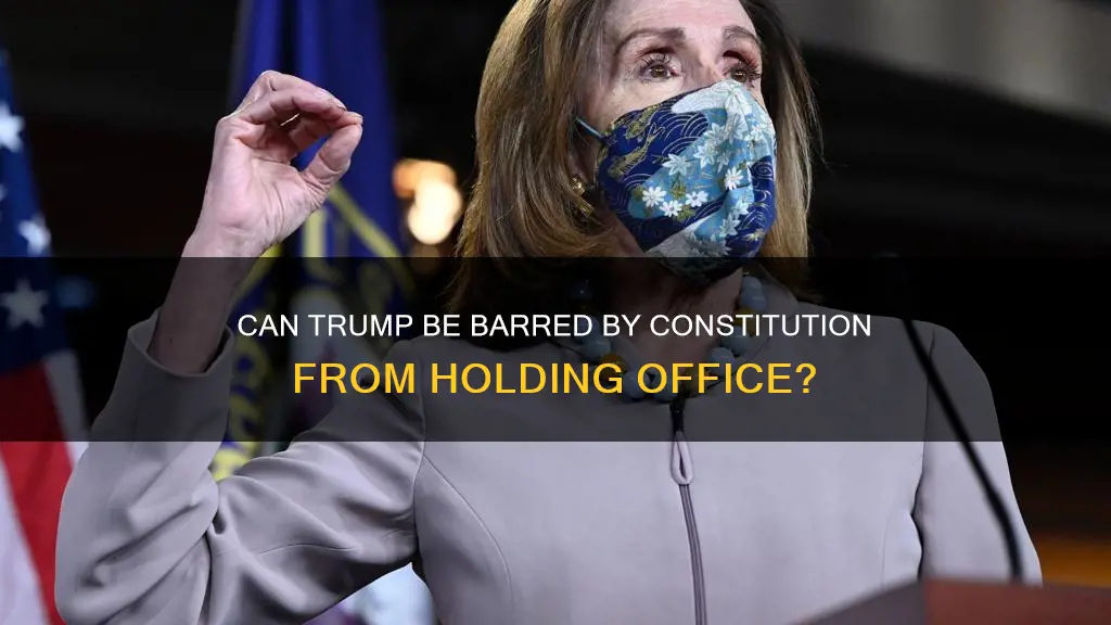 does the constitution bar trump from holding office