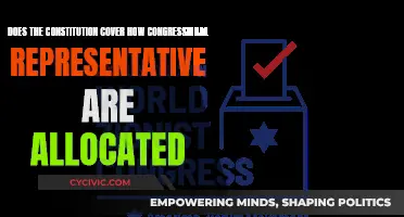 How Are Congressional Representatives Allocated in the Constitution?
