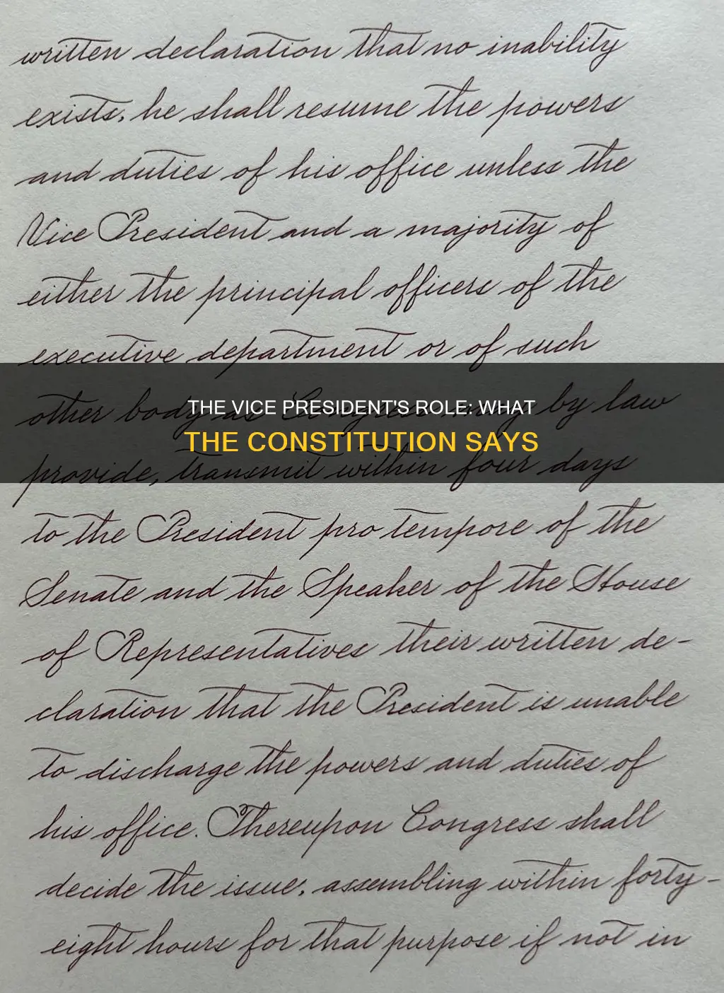 does the constitution describe the duties of the vice presiudent