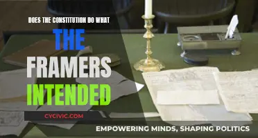 The Constitution: Living Up to Its Promise?