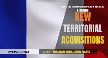 Exploring the Constitution's Reach in New Territories