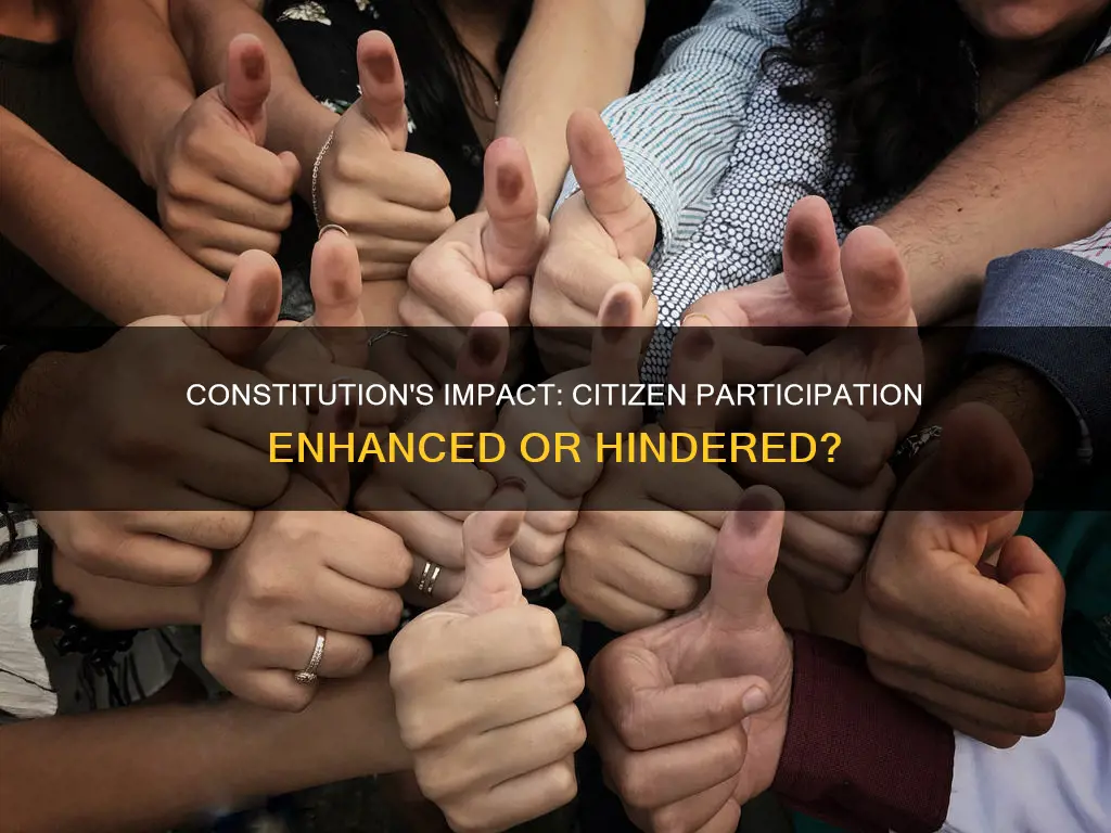 does the constitution foster or limit citizen participation poli sci