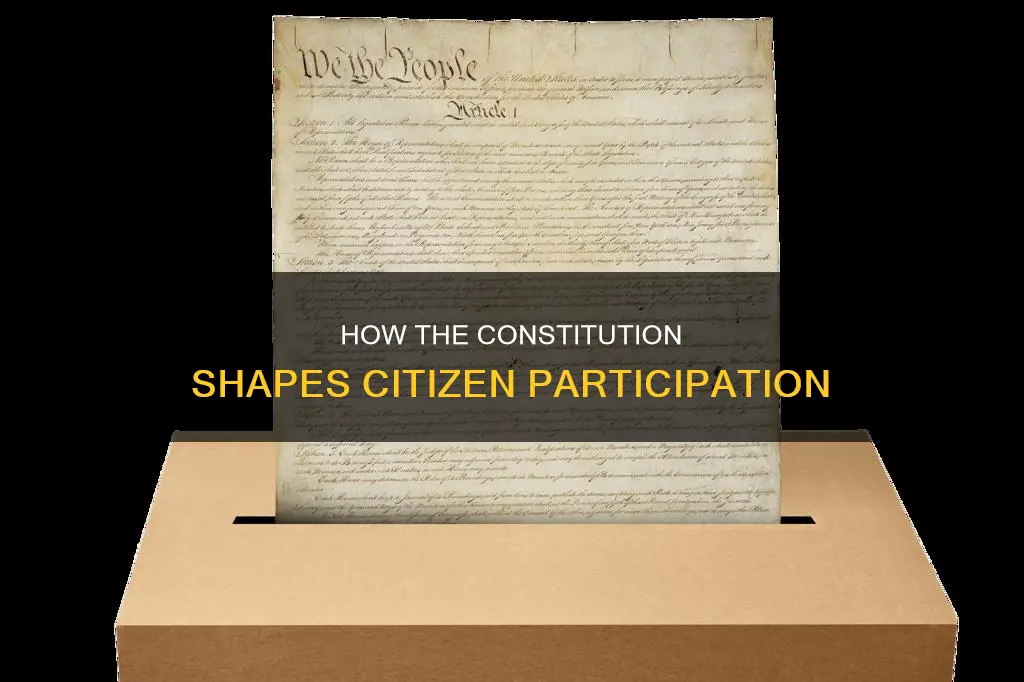 does the constitution foster or limit citizen participation
