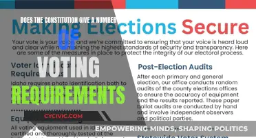 Voting Requirements: What the Constitution Says