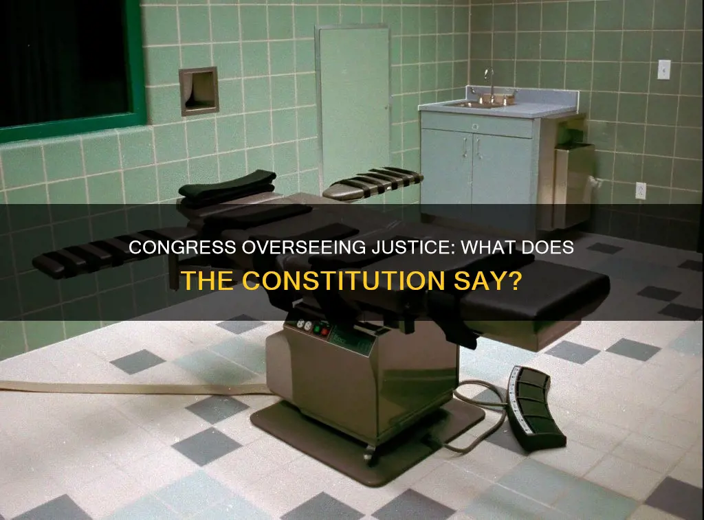 does the constitution give congress oversight of the justice department