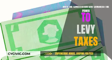Congress' Power to Levy Taxes: Constitutional Basis?