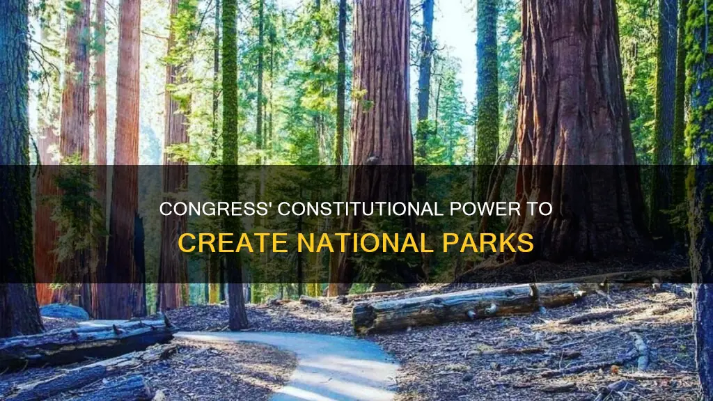 does the constitution give congress to establish national parks
