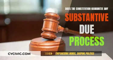 Due Process Rights: What the Constitution Really Guarantees