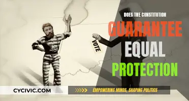 Equal Protection: Does the Constitution Guarantee It?