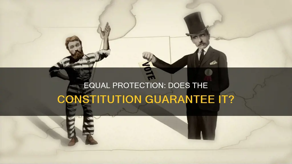 does the constitution guarantee equal protection