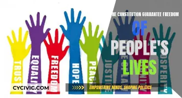 The Constitution: Freedom or Control?