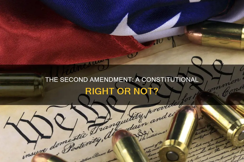 does the constitution have 2nd amendment
